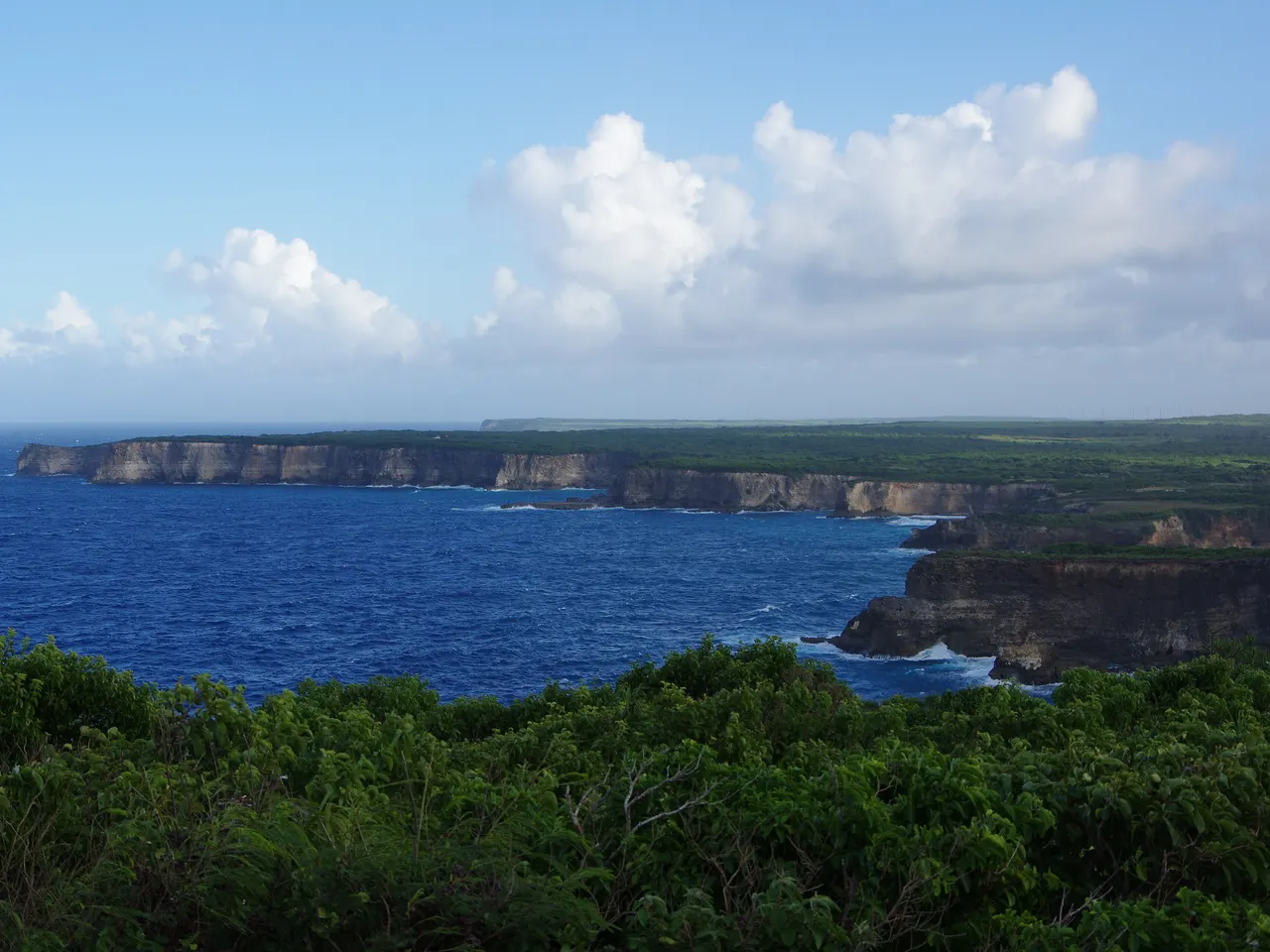 Les hautes falaises claires du nord de la Grande-Terre vues depuis la pointe de la Grande Vigie, plongeant dans un océan bleu profond, derrière une végétation basse et sous de gros nuages blancs