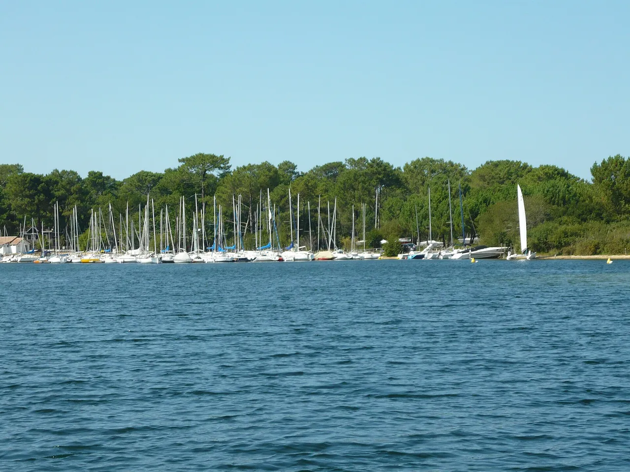 L’arrivée au port du lac Sud, à Biscarrosse