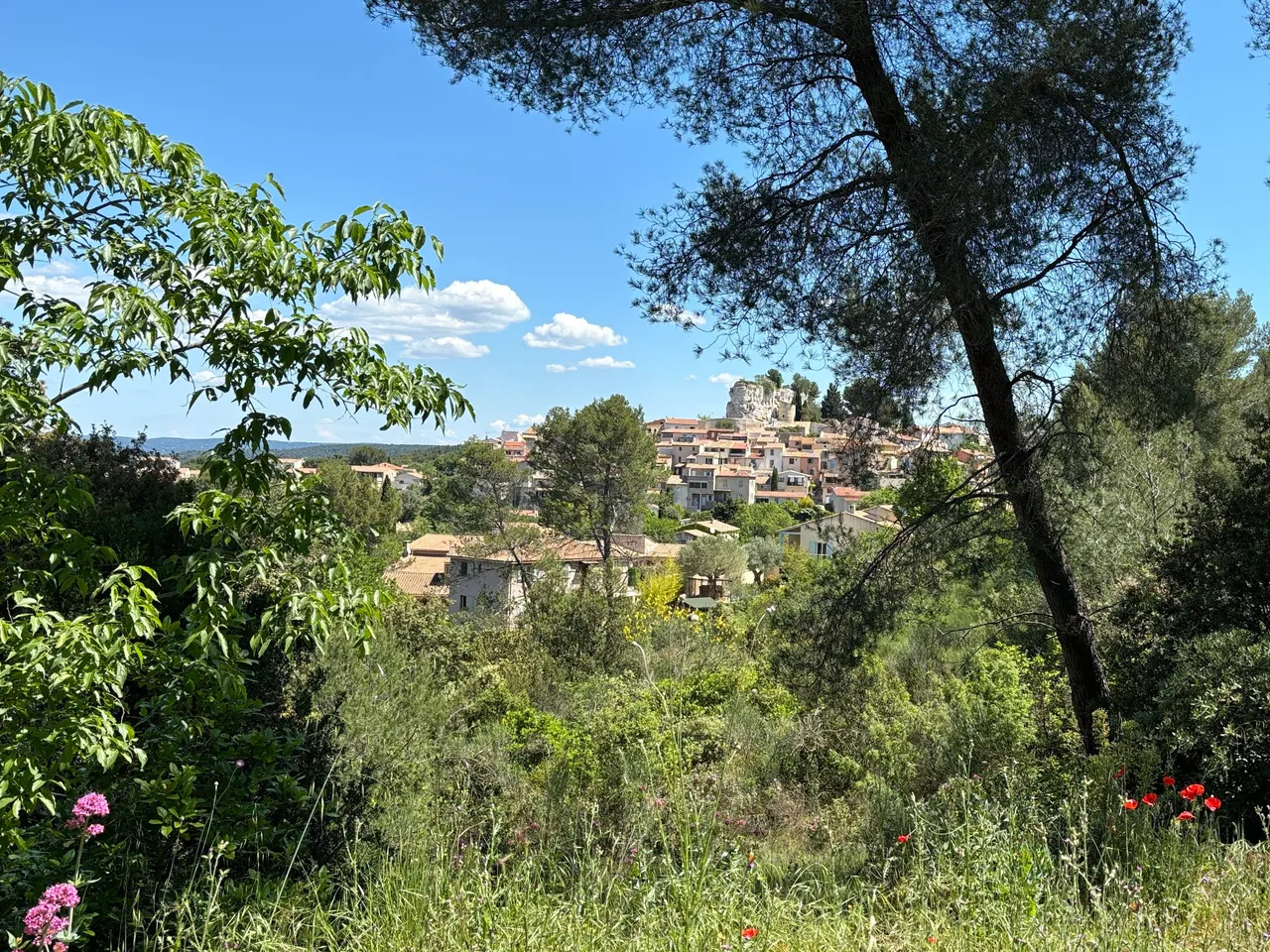 Le village de Bouc-Bel-Air et le rocher qui le couronne, vus à travers des pins et une végétation fleurie de coquelicots, sous un ciel bleu.