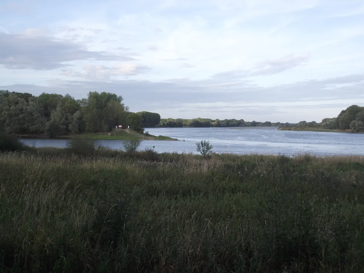 La confluence de la Maine et de la Loire à Bouchemaine, eaux calmes bordées d’arbres, derrière une prairie d’herbes hautes sous un ciel nuageux.