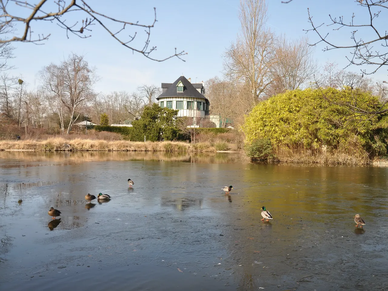 Le Grand Lac des Ibis gelé, avec des canards posés sur la glace et le pavillon des Ibis entre les arbres