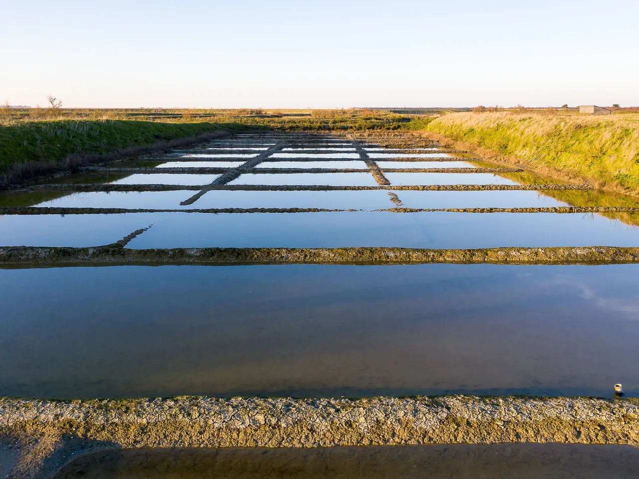 Les bassins des marais salants de Loix, carrés d’eau calme séparés par des levées d’argile, sous la lumière basse du soir.