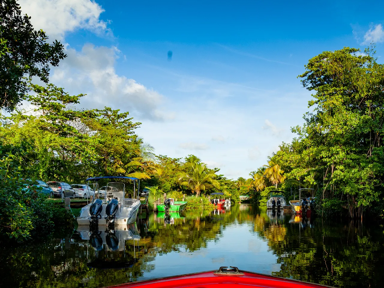 Le canal des Rotours à Morne-à-l’Eau, vu depuis la proue rouge d’un bateau : une eau calme bordée d’arbres, où se reflètent des bateaux amarrés.