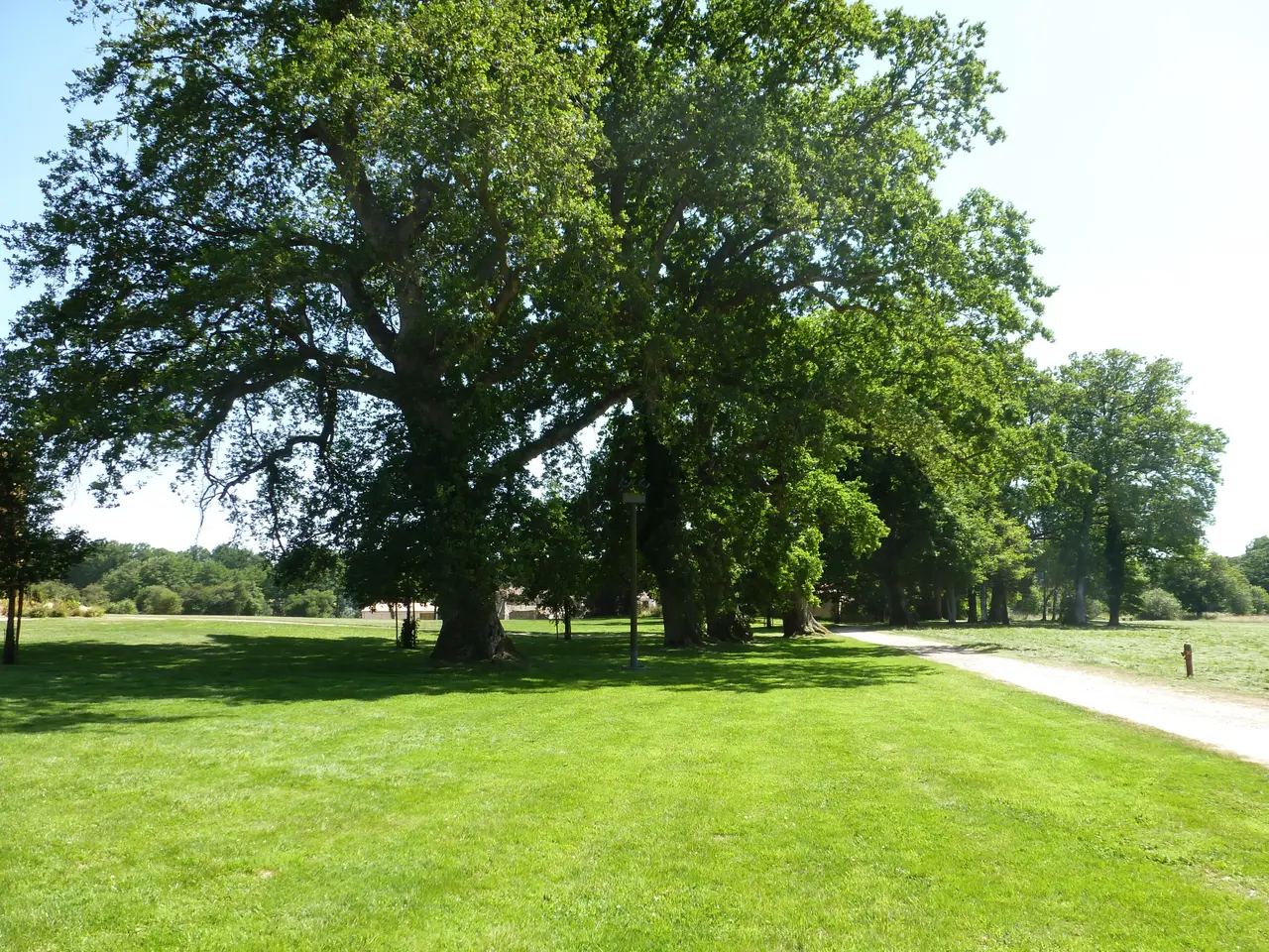 Les grands arbres et la pelouse du parc de Beaupuy, à Mouilleron-le-Captif