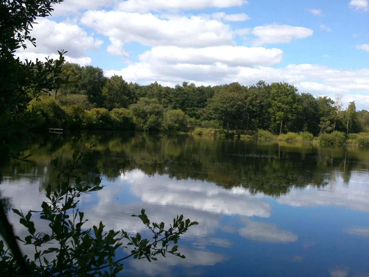 Un étang bordé de bois à Nuaillé, où se reflètent le ciel et les nuages