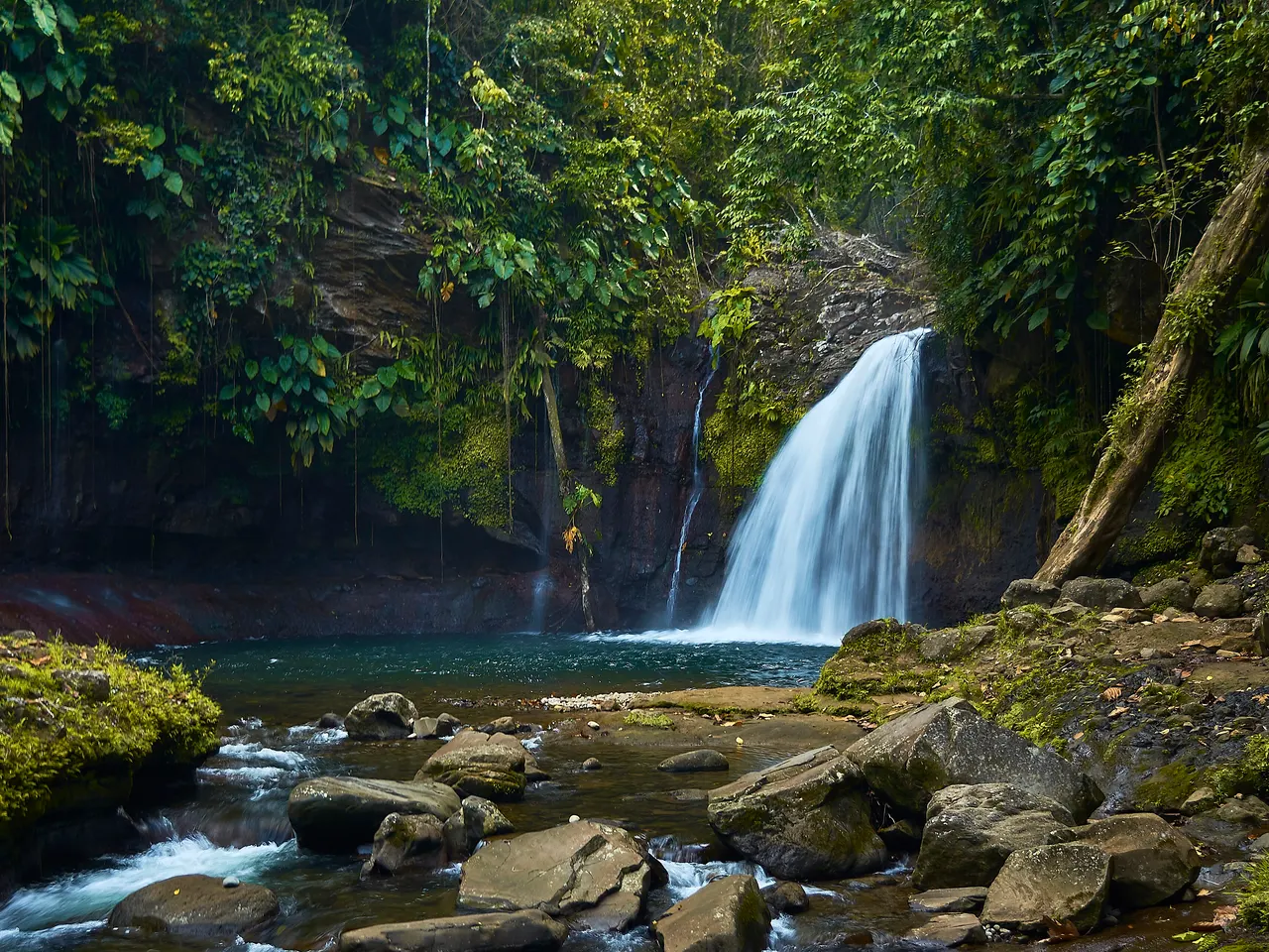 Le saut de la Lézarde à Petit-Bourg : une chute d’eau se jette dans un bassin bordé de rochers moussus, au cœur de la forêt tropicale.