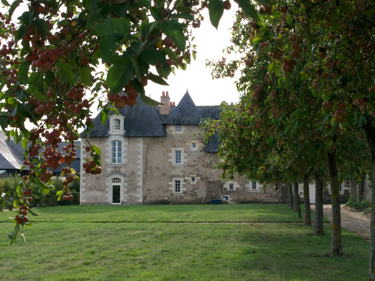 Le manoir de la Ranloue à Saint-Barthélemy-d’Anjou, façade de pierre et toits d’ardoise au bout d’une pelouse, vu sous des branches chargées de petites pommes rouges.