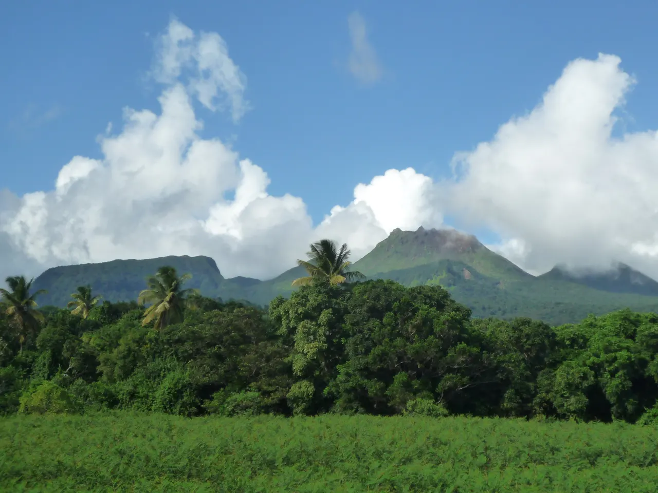 Le dôme de la Soufrière entouré d’autres sommets sous de gros nuages blancs, au-dessus d’une lisière de forêt tropicale et d’un pré verdoyant.