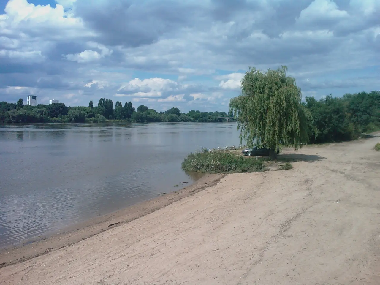 Une grève de sable au bord de la Loire à Saint-Sébastien-sur-Loire, avec un saule pleureur et la rive boisée en face