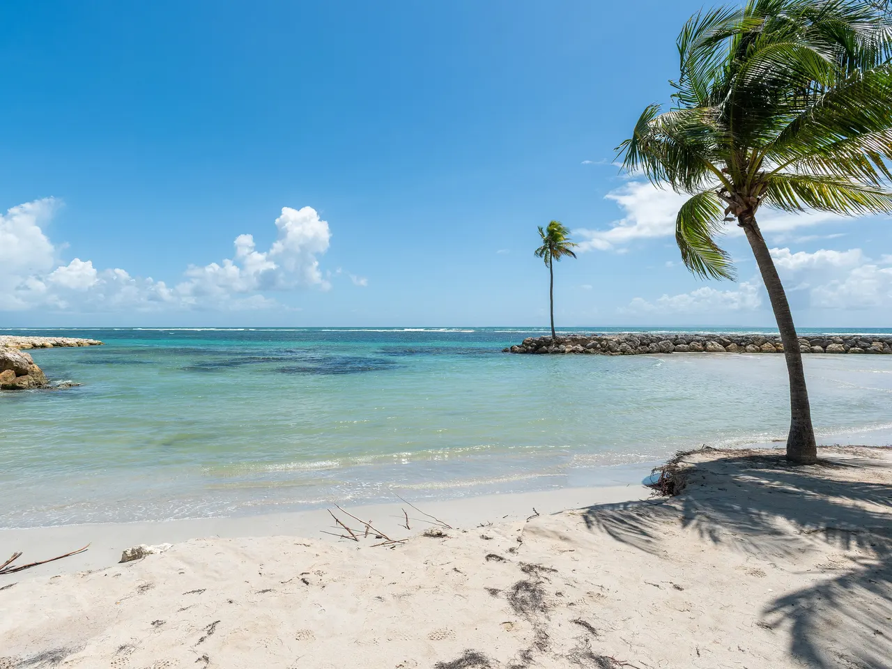 Sable blanc et eau turquoise à la plage du Bourg de Sainte-Anne, avec une digue de rochers où pousse un palmier et, au premier plan, un palmier penché.