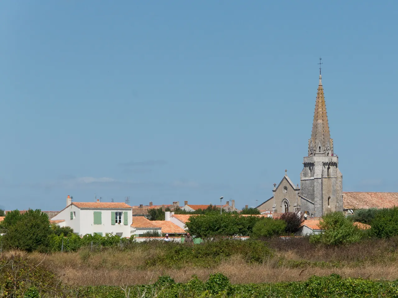 Le clocher de pierre de l’église Notre-Dame-de-l’Assomption de Sainte-Marie-de-Ré, dressé au-dessus des toits du bourg et d’une friche verte.