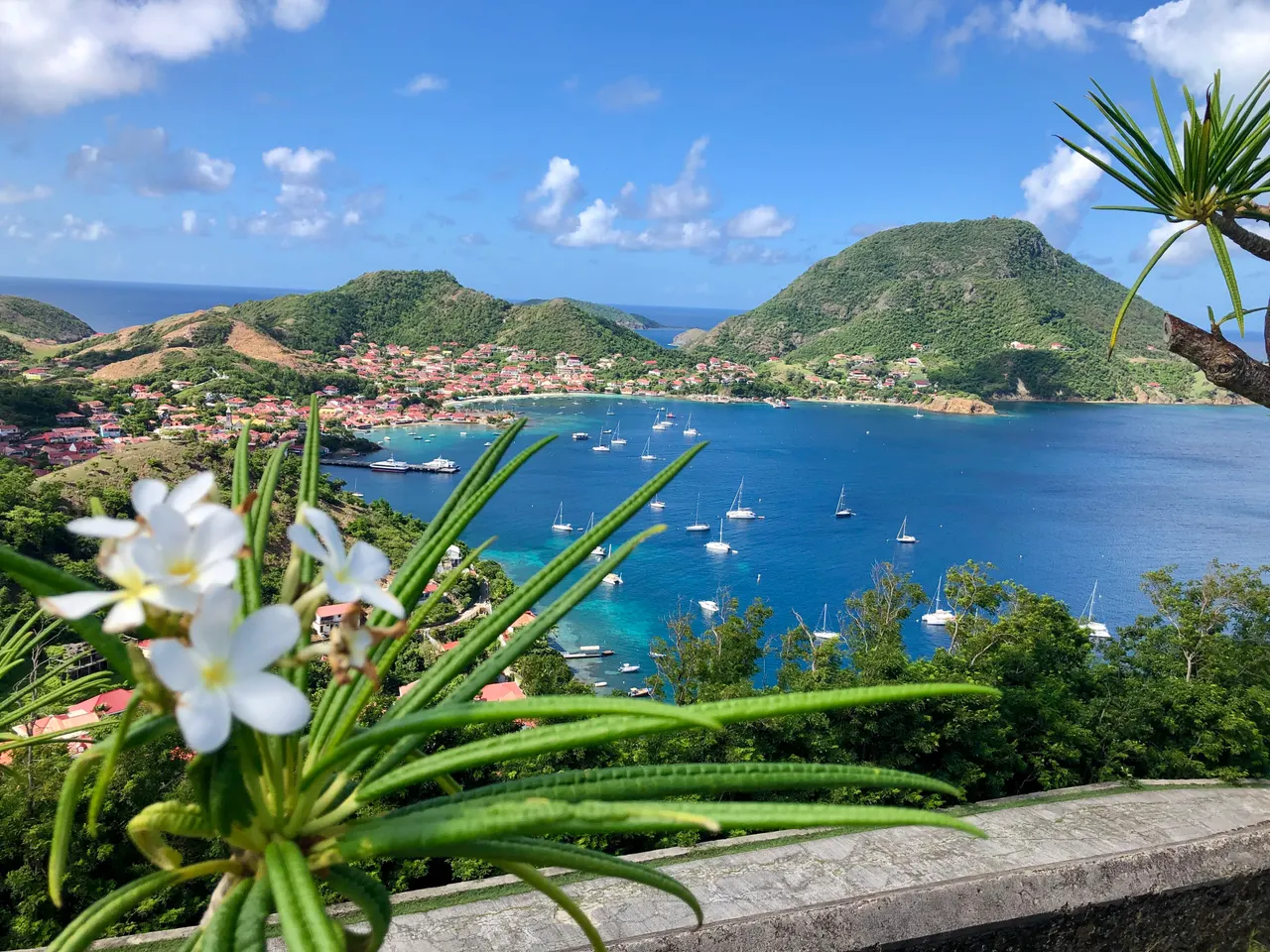 Le bourg de Terre-de-Haut et sa baie vus depuis le fort Napoléon : maisons aux toits rouges, voiliers au mouillage sur une eau turquoise et mornes verts, derrière des fleurs blanches au premier plan