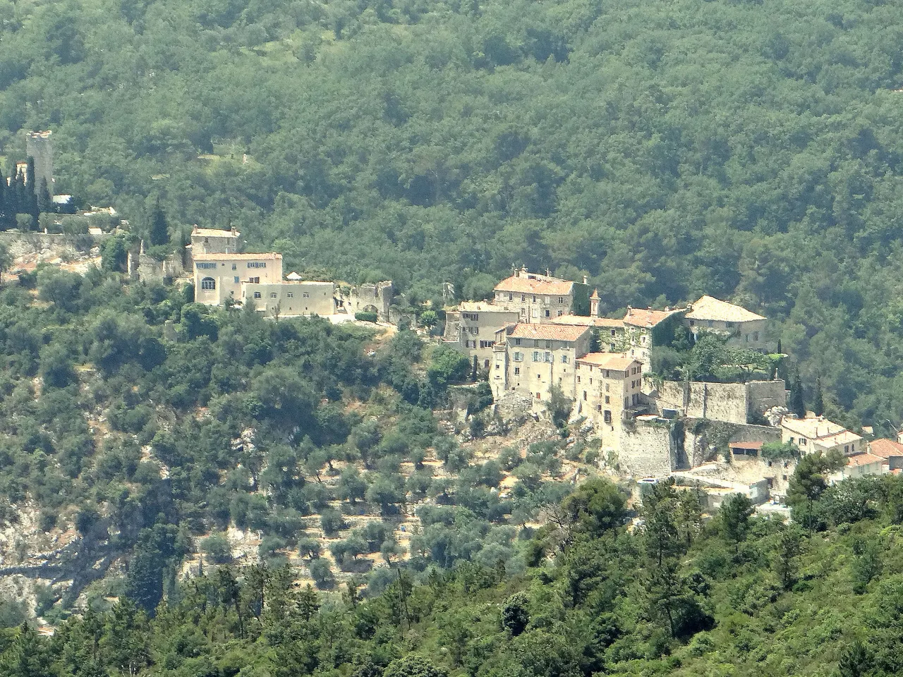 Le vieux village de Tourrette-Levens accroché à son éperon rocheux, ses maisons de pierre claire et ses remparts au milieu des oliviers en terrasses, sur fond de colline boisée.
