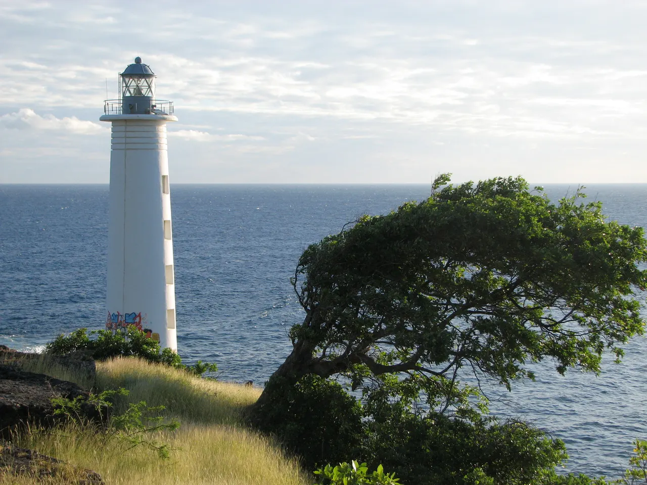 Le phare blanc de la pointe du Vieux-Fort au bord d’une pente herbeuse, à côté d’un arbre courbé par le vent, face à la mer sous un ciel voilé.